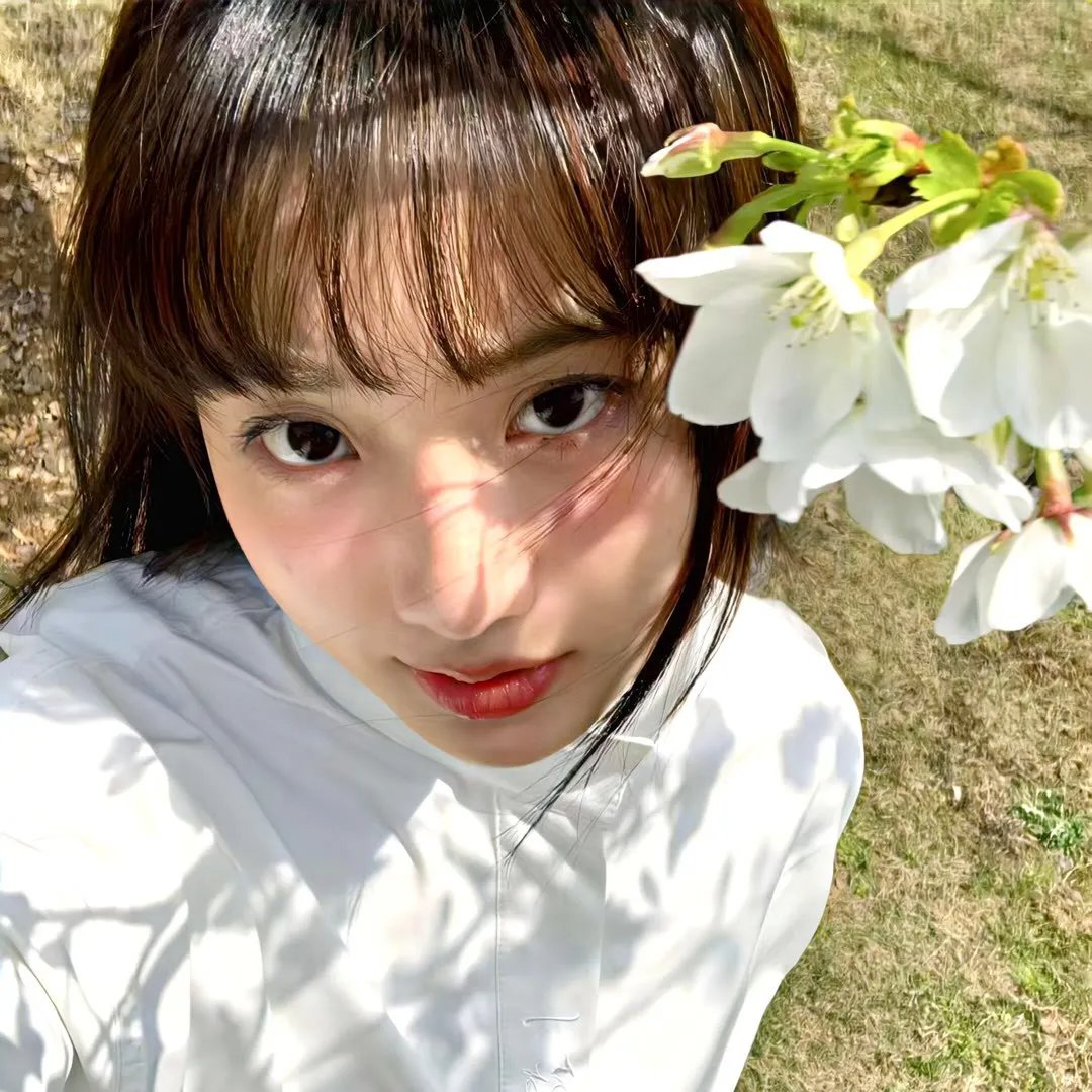 布希妈妈